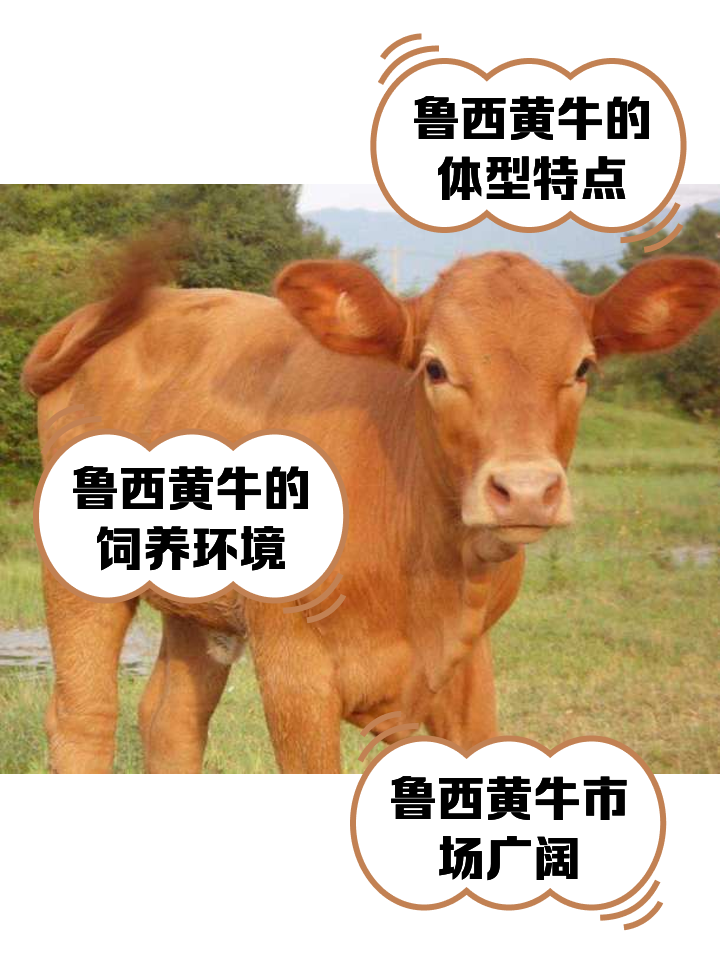 桂林最新医保取现黄牛方法分析(最方便真实的桂林医保取现黄牛怎么取方法)